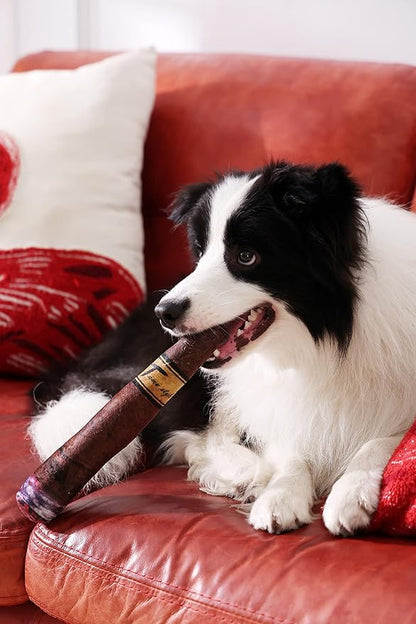 Tamu style Funny Dog Toy with Interactive Squeaky Sound and Plush Cotton Filled Softness for Small, Medium, and Large Puppies and Dogs, Fun Novelty Play
