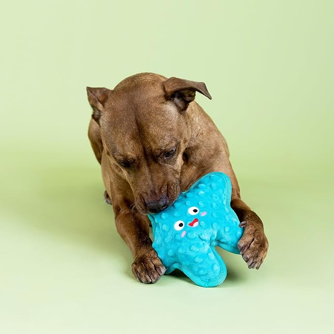 Fringe Studio I'm A Star Durable Plush Dog Toy, Pet Shop Collection (729159)