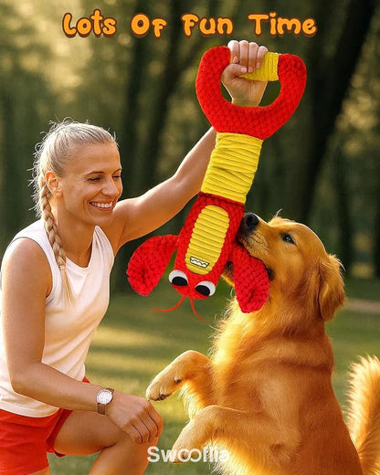 Swooflia Tug of War Dog Toy-Squeaky Plush Tug a War Dog Toy for Medium Large Breed Dogs to Keep Them Busy, Interactive Crinkle Doggie Toy, Cute Lobster with Soft Long Pull Handle
