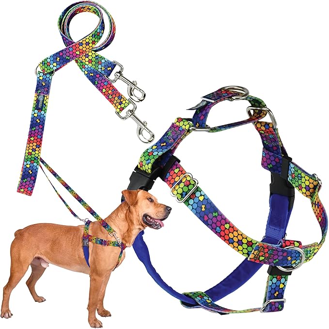 2 Hounds Design - Freedom No-Pull Harness & Training Leash in Blue and Rainbow | Dual Leash Loops, No Pulling on Walks | Lined to Prevent Chaffing | for Large Sized Dogs (Size M, Chest 24”- 28”)