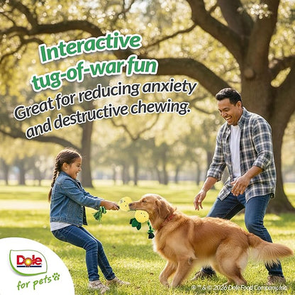 Dole for Pets® Dog Rope Toy with Squeakers, Pineapple Tug of War Dog Toy, Tough Cotton Rope Toys for Dogs, Aggressive Chew Toys for Large Dogs and Medium Dogs