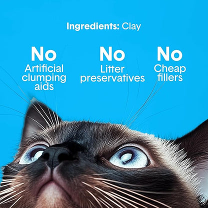 Boxie Unscented 30 Day Odor Control Clumping Clay Cat & Kitty Litter 40 lb, 99.9% Dust-Free, Hard Flat Top Clumps, No Fragrances No Fillers, Long-Lasting, Easy to Scoop