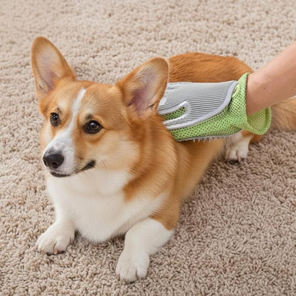 PetPals Single Pet Hair Removal Grooming Glove, Suitable for Long and Short-Haired Dogs and Cats. Double-Sided Function with Pet Hair Removal and Cleaning for Furnitures. Green