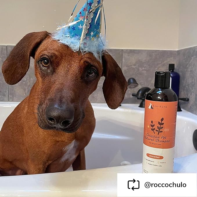 kin+kind Sensitive Skin Natural Dog and Cat Shampoo - Gentle Oatmeal Clean - Fragrance Free - 12 fl oz