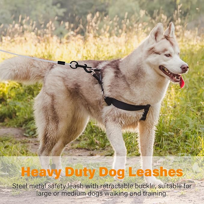 Heavy Duty Dog Leash - 6FT Metal Chew Proof, Comfortable Leather Padded Handle, Stainless Steel for Control - Silver