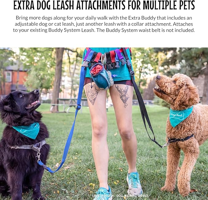The Buddy System Accessories for Our Dog Leashes Made in USA (Extra Buddy, Regular Dog Blue)