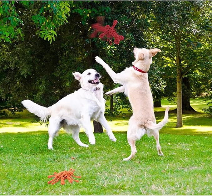 WishLotus 2Pc Dinosaur and Duck Shaped Dog Toys for Aggressive Chewers, Cotton Dog Chew Toys for Small to Large Breeds (Crab+Lobster)
