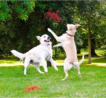 WishLotus 2Pc Dinosaur and Duck Shaped Dog Toys for Aggressive Chewers, Cotton Dog Chew Toys for Small to Large Breeds (Crab+Lobster)