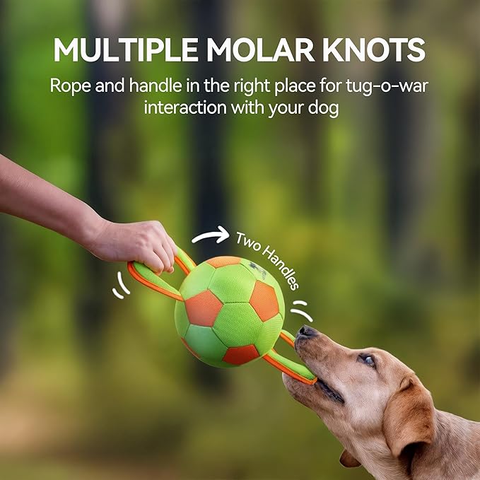 ALL FOR PAWS Dog Ball with Handles, Dog Toy with Squeaker, Interactive Tug of War Ball Toy for Small and Medium Dogs, 12.6 x 5.9 x 5.9 Inch
