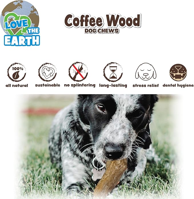 SPOT Coffee Wood Dog Chew Toy – 100% Natural & Sustainably Sourced Non-Splintering Wood from Coffee Plants, Long Lasting, Durable Toy for Aggressive Chewers, for Small Dogs and Puppies Up to 22lbs