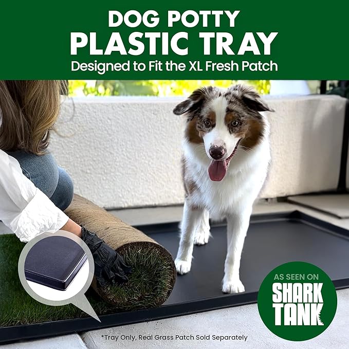 Fresh Patch Plastic Tray for XL Real Grass Pee and Potty Training Pads for Large Dogs and Multi-Dog Households – 4 ft x 2 ft Multi-Purpose and Reusable Crate Tray for Indoor and Outdoor Use