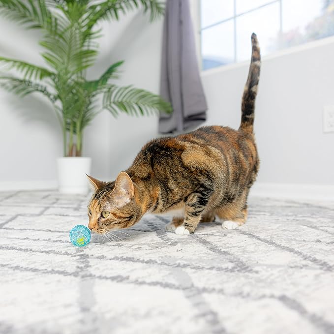 SPOT Lattice Balls Cat Toys - Durable, Fun Balls with Bells Perfect for Swatting and Batting, Colorful Toys to Entertain Indoor Cats and Kittens, - 1.5 inch, 4 pcs