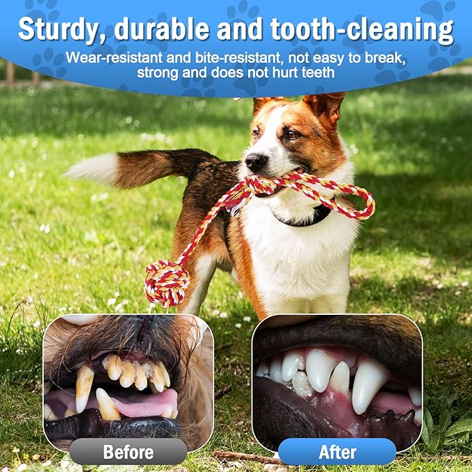 Aerbee 4PCS Rope Toys for Dogs, Puppy Teething Toys for Entertainment, Knots Dog Toy for Smart Newborn Pet, Doggy Interactive Chew Dental Pack of 4