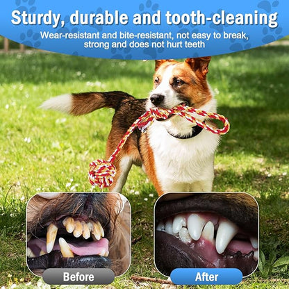 Aerbee 4PCS Rope Toys for Dogs, Puppy Teething Toys for Entertainment, Knots Dog Toy for Smart Newborn Pet, Doggy Interactive Chew Dental Pack of 4