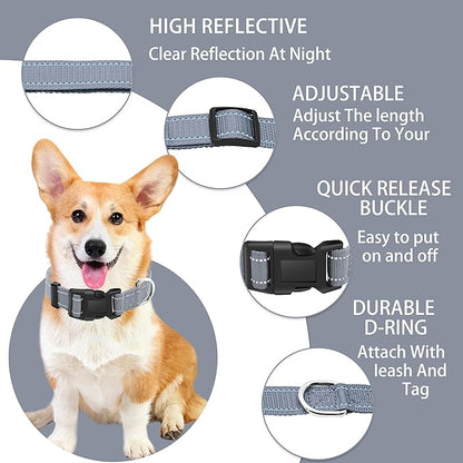 Reflective Dog Collar with Safety Locking Buckle, Adjustable Soft Breathable Nylon Collars for Small, Medium and Large Dogs(Collar+Leash M Gray)