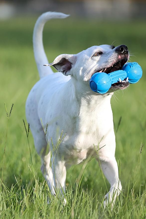 Nerf Dog Chewable Barbell Dog Toy, Lightweight, Durable and Water Resistant, 7.5 Inches, For Medium/Large Breeds, Two Pack, Blue and Green (8953)