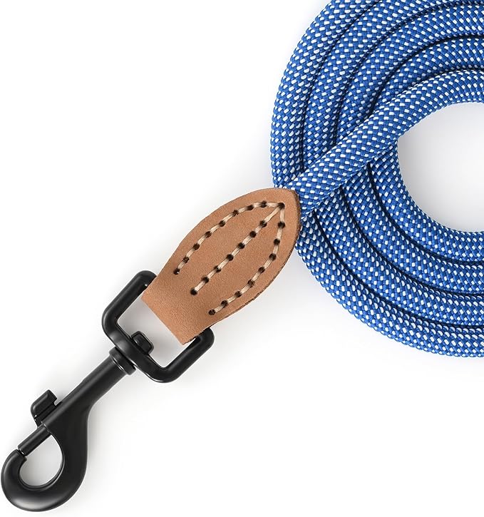 Mile High Life Small Dog Leash, Thin Rope Leash with Genuine Leather Connection and Heavy Duty Metal Clasp, Great for Small Medium Dogs(Blue White,60 Inch-1/3)