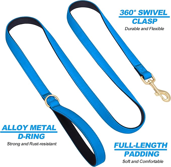 Didog 5FT Colorful Nylon Dog Leash with Soft Full-Length Padding, Lightweight and Durable Pet Leash for Small Dogs, Blue, S