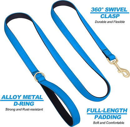 Didog 5FT Colorful Nylon Dog Leash with Soft Full-Length Padding, Lightweight and Durable Pet Leash for Small Dogs, Blue, S