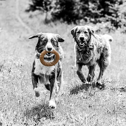 Barkbone Chew Ring, Chamomile Vanilla Flavored Nylon Chew Bone Dog Toy, 5.75"