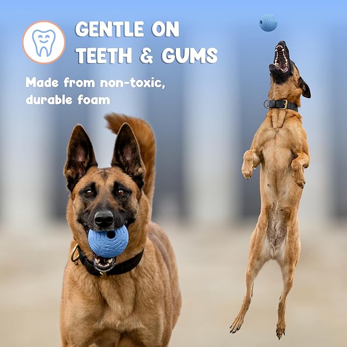 Foam Fetch Ball for Dogs – Durable EVA Foam Dog Ball, Interactive Chew Toy for Dogs, Lightweight Floating Ball for Water, Pool & Outdoor Fetch Games (Blue, Large)