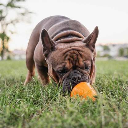 Chew King by Mammoth Premium Treat Dog Toy, Extremely Durable Natural Rubber Toy, Bacon Flavored Dog Treater, Large - Orange
