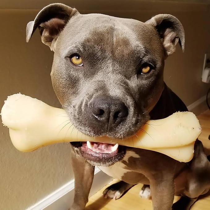 Nylabone Big Chew Monster Bone Power Chew Toy for Large Dogs, Durable Dog Toys for Aggressive Chewers, Destroy Proof Chew Toys To Keep Them Busy, Chicken Flavor, XX-Large, 50++ lbs, 1 Count