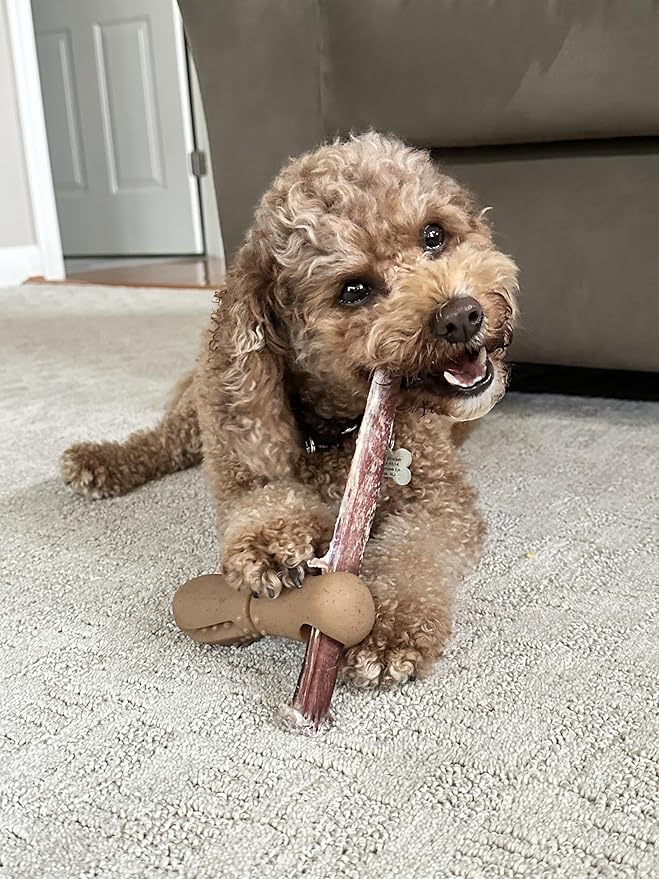 Tall Tails Bully Stick Holder & Chew Toy for Dogs – Bacon-Scented, Medium, Adjustable Treat Holder for Bully Sticks & Spreadable Treats, Choking Hazard Reducer, Durable & Dishwasher Safe