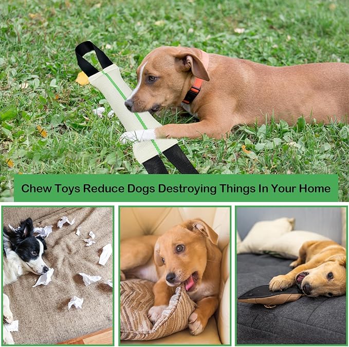 ASOCEA Dog Pool Toys,2-in-1 Dog Water Toys Interactive Tug Toys for Small to Large Dogs Bite Resistant Squeaky Floating Toy Perfect for Dock Diving Training Fetching Throwing Playing