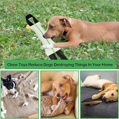ASOCEA Dog Pool Toys,2-in-1 Dog Water Toys Interactive Tug Toys for Small to Large Dogs Bite Resistant Squeaky Floating Toy Perfect for Dock Diving Training Fetching Throwing Playing