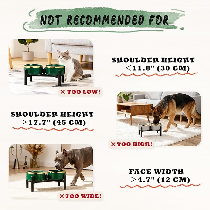 Ceramic Elevated Dog Bowl Set - Dog Feeder Station with Double Bowls for Small and Medium Size Breed - Non-Slip Raised Dish for Food and Water Feeding- 6 Inch - 3.5 Cups / 22 fl oz - Green