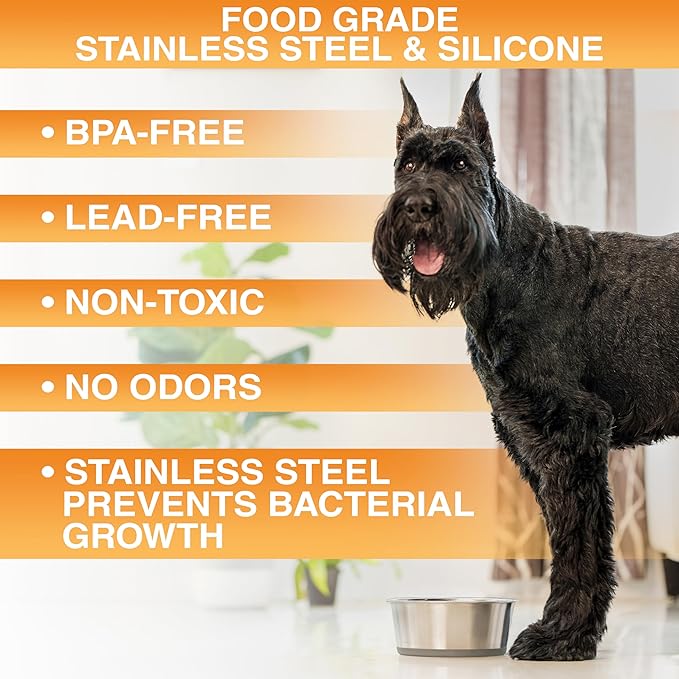 Neater Pet Brands Stainless Steel Dog Bowls with Non-Slip Rubber Bottom – 3 Cup (24 oz), Tan - Set of 2 Heavy Duty Metal Dog Bowls, Dishwasher Safe, Food or Water Bowl, Ideal for Small to Medium Dogs