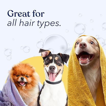 Honest Paws Dog Conditioner - Detangle & Moisturize - Premium Pet Conditioner for Itchy and Dry Skin - Hydrate Sensitive Skin - Shiny Coat Soft Hair Smooth Fur - Mandarin & Berry - 8oz