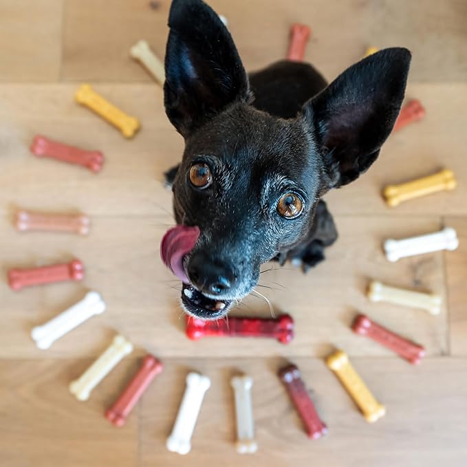 Nylabone Customer Favorites Power Chew Toy Bundle for Dogs, Indestructible Dog Toys for Aggressive Chewers, Pack of 3 Dog Toys, Flavor Medley, Small Dogs - Up to 25 lbs, 3 Pack