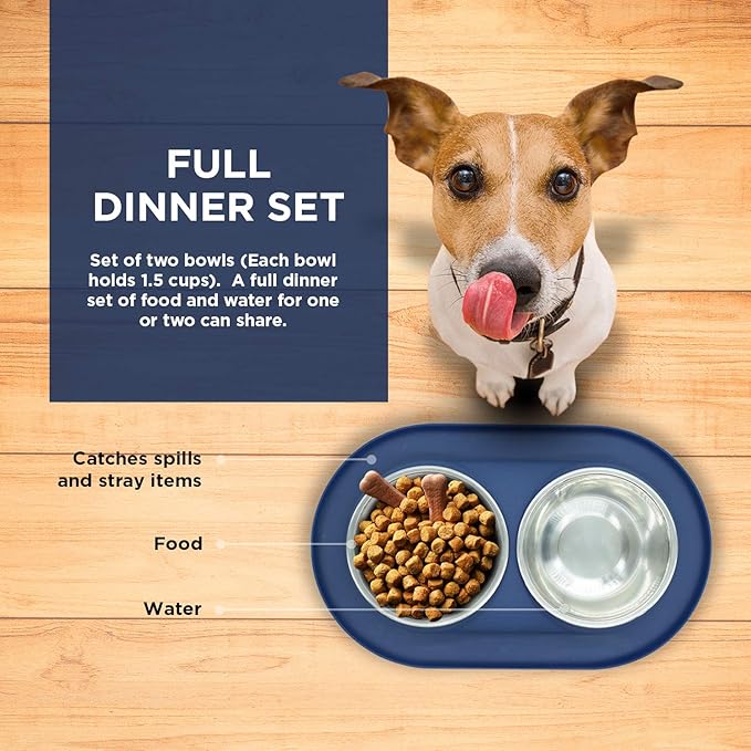 Bonza Cat or Small Dog Bowls with Spill-Proof Mat,12 oz Stainless Steel Feeding Dishes