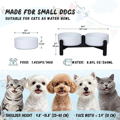 Elevated Ceramic Dog Bowl Set - Cute Double Dishes with Stainless Steel Stand – Raised Feeding Bowls for Cats and Small Dogs - Food & Water Set - 5" / 1.4 Cups (140 g / 260 ml) - Blue