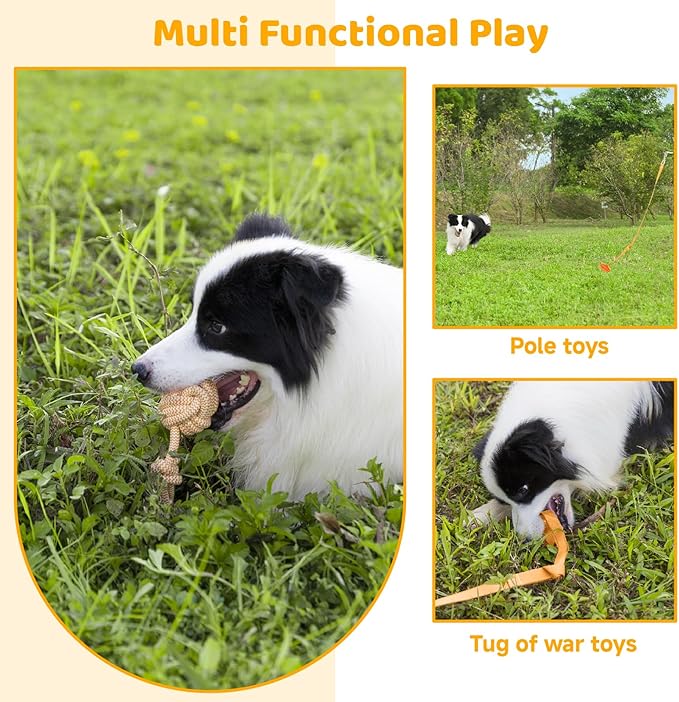 Interactive Flirt Pole for Dogs Chase and Tug of War Dog Pole Toy, Dog Teaser Wand with Rope & Ball Toys for Large Medium Small Dogs Chewing Toy to Outdoor Exercise & Training,30.9inch Orange