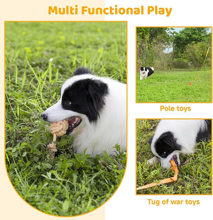 Interactive Flirt Pole for Dogs Chase and Tug of War Dog Pole Toy, Dog Teaser Wand with Rope & Ball Toys for Large Medium Small Dogs Chewing Toy to Outdoor Exercise & Training,30.9inch Orange