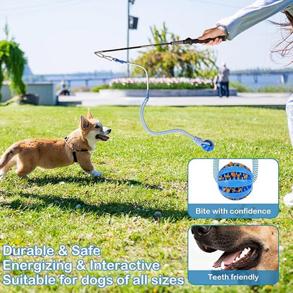 Flirt Pole for Dogs Interactive Dog Pole Toy for Large Medium Small Dogs, Sports Dog Teaser Pole for Tug of War, Flirt Pole with Lure Ball (Standard Pole + Elastic Rope)