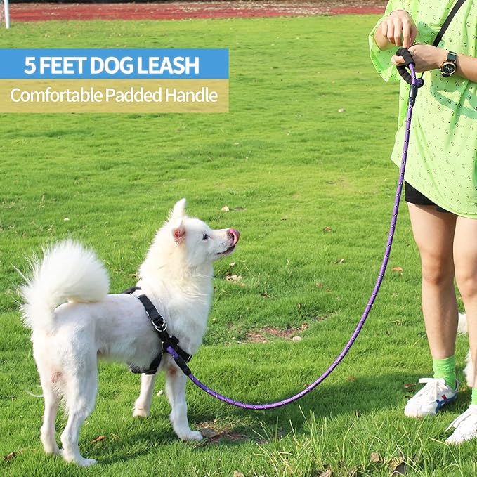BAAPET 2/4/5/6 FT Dog Leash with Comfortable Padded Handle and Highly Reflective Threads for Small Medium and Large Dogs (5FT-1/2'', Purple)