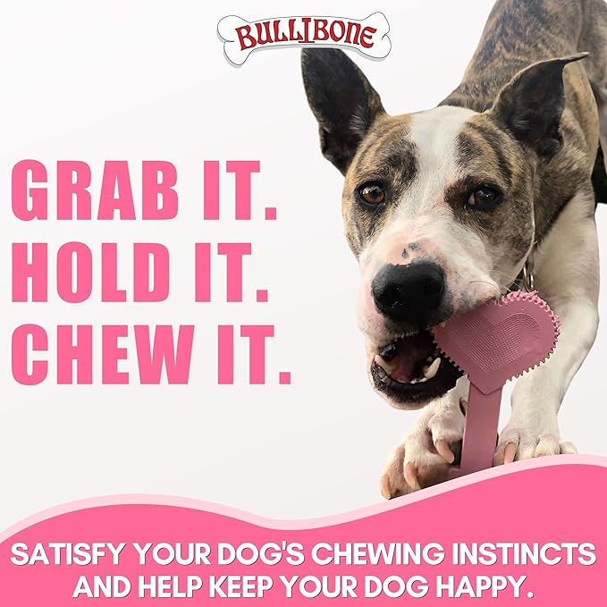 Bullibone Nylon Dog Chew Toy for Aggressive Chewers - Dental Hygiene Bone with Peppermint Flavor, Durable Tough Chew Toys for Large Dogs, Indestructible Dog Bone - 2 Pack