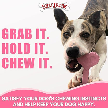 Bullibone Nylon Dog Chew Toy for Aggressive Chewers - Dental Hygiene Bone with Peppermint Flavor, Durable Tough Chew Toys for Large Dogs, Indestructible Dog Bone - 2 Pack