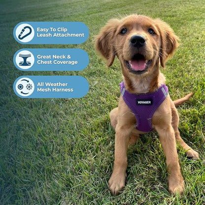 Best Pet Supplies Voyager Step-in Air Harness - All Weather Mesh, Reflective, No Pull Harness for Dogs, Cats - Secure with Hook & Loop Fastener, Buckle, Double D-Rings - Purple, L
