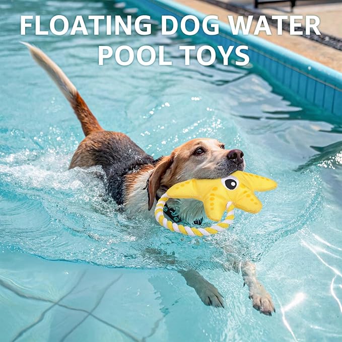 SCENEREAL Dog Toy for Small Medium Dogs- Floating Dog Toys Squeaky Toys for Water Pool Fetch, Halloween Starfish Shape Interactive Pet Chew Toy Outdoor Interactive Play