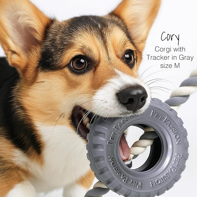 Natural Rubber Tire and Organic Cotton Rope Pull and Chew Dog Toy for All Pet Breeds, Blush, Large