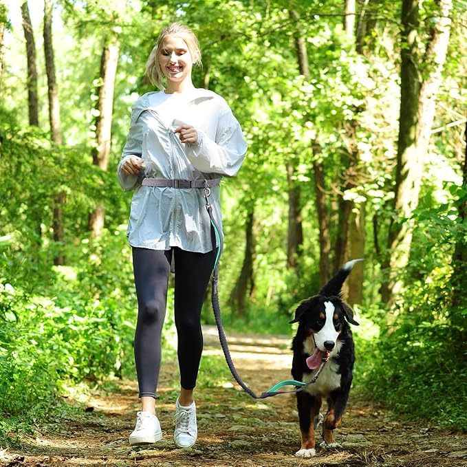 VIVAGLORY Hands Free Dog Leash Bungeeone Running Dog Leash with Waist Belt for Running Walking & Jogging, Bungee & Around Waist for Pet, M, Grey/Turquoise