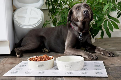 Pearhead Ceramic Dog Bowl – “Woof” Speckled Pet Food & Water Dish, Durable Stoneware, Non-Slip Heavy Base, 20 oz, Medium