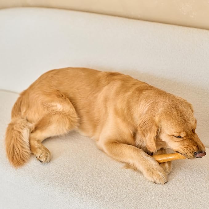 SPOT Bam-Bones Plus Dino Bone - Bamboo Fiber & Nylon, Durable Long Lasting Dog Chew for Aggressive Chewers – Great Toy for Dogs Under 90lbs, Non-Splintering, 7.25in Peanut Butter Flavor Allergen Free