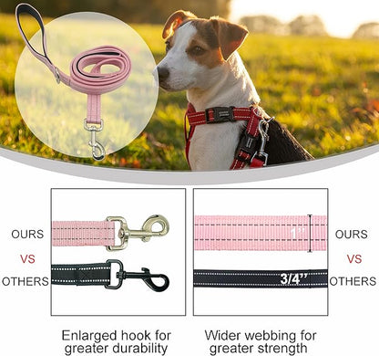 Dual Padded Handle Standard Dog Leashes with Reflective Stitching,360° Rotatable Heavy Duty Metal Buckle,D-Ring,Durable Nylon,for Medium Sized Dogs from 20 to 60 Pounds Walking and Training Pink 5Ft