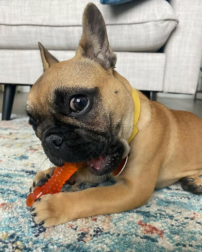 Nylabone Freezer Knuckle Bone Puppy Chew Toy, Soothing Teething Toys for Puppies, Color Changing, Lamb & Apple Flavor, Small Dogs - Up to 25 lbs., 1 Count